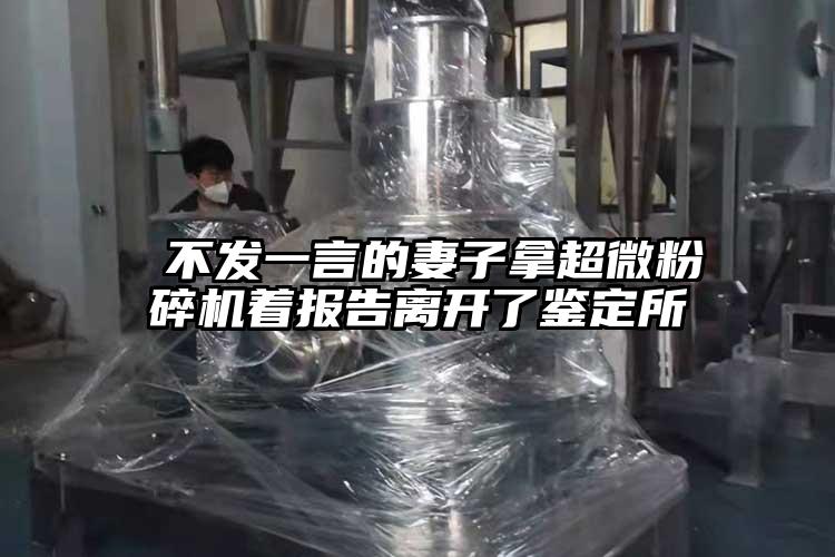  不發一言的妻子拿超微粉碎機著報告離開了鑒定所